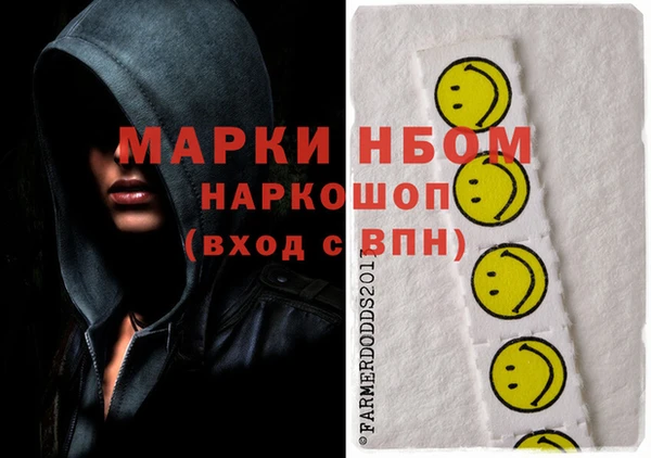 СК Коряжма