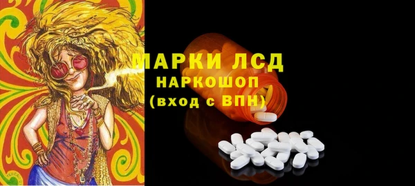 СК Коряжма